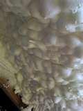 Pictures of Demilec Spray Foam Insulation