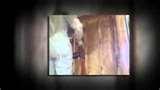 Bio Foam Insulation Pictures