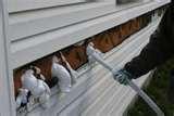 Pictures of Spray Foam Insulation New York