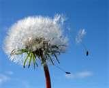 Spray Foam Insulation Vancouver Pictures