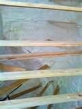 Pictures of Spray Foam Insulation Dallas
