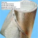 Foam Roof Insulation Problems Pictures