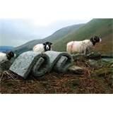 Photos of Pros And Cons Of Foam Insulation