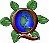 Pictures of Foam Insulation Cost Estimate