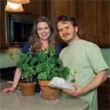 Soybean Foam Insulation Pictures