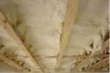 Photos of Advanced Foam Insulation