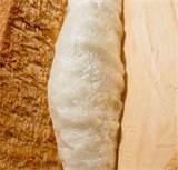 Pictures of Insulation Polyurethane Foam