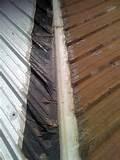 Roofing Foam Insulation Pictures